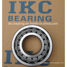 Taper Roller Bearing, Auto Bearing, Truck Bearing 30313j, 30313